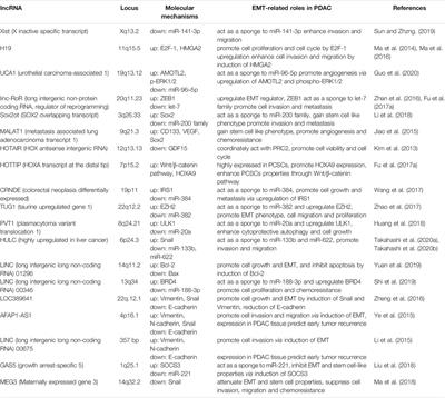 Long Non-Coding RNAs in Epithelial-Mesenchymal Transition of Pancreatic Cancer